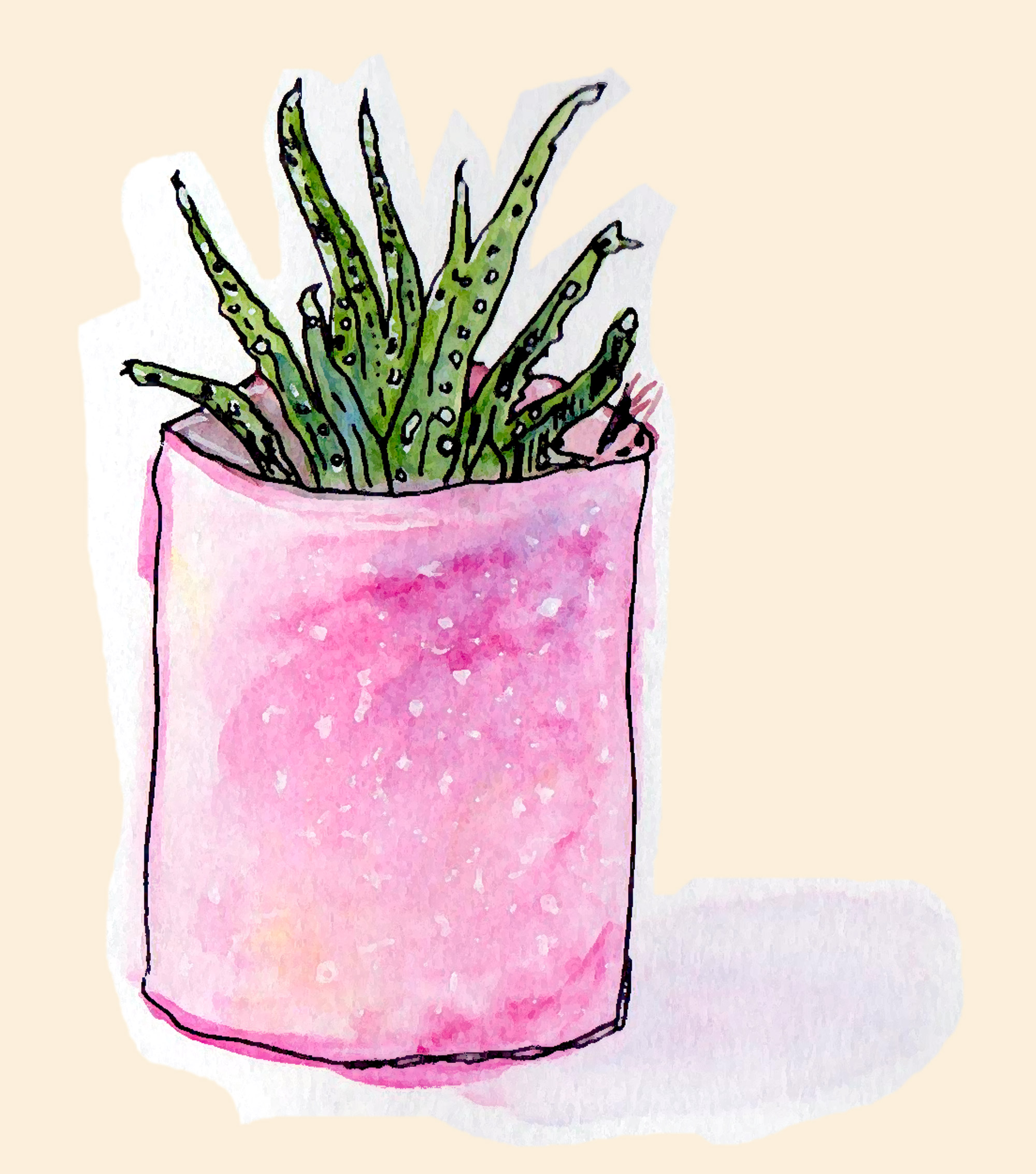 cactus_watercolor