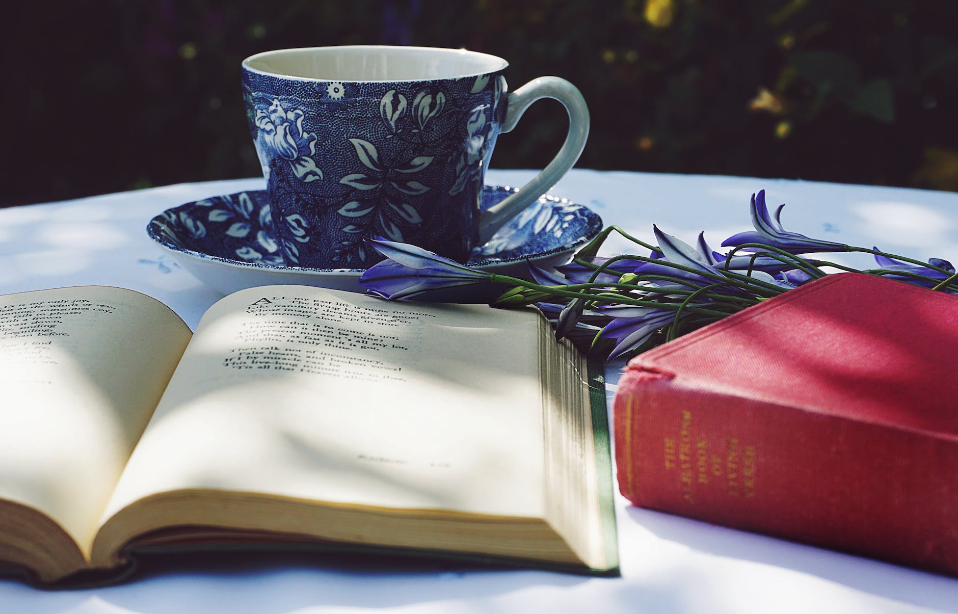 Tips: Writers and Poets Seeking First Publication Credits