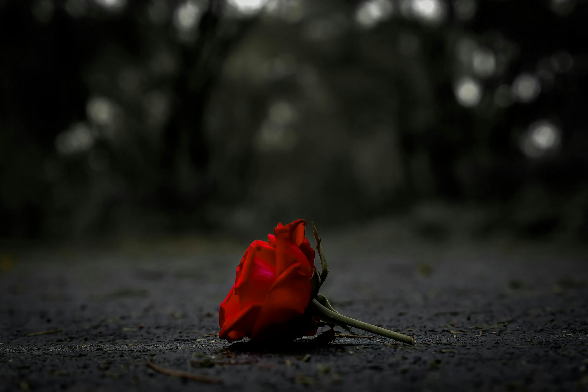 Dark Poetry Fragments (from Feb 2024)