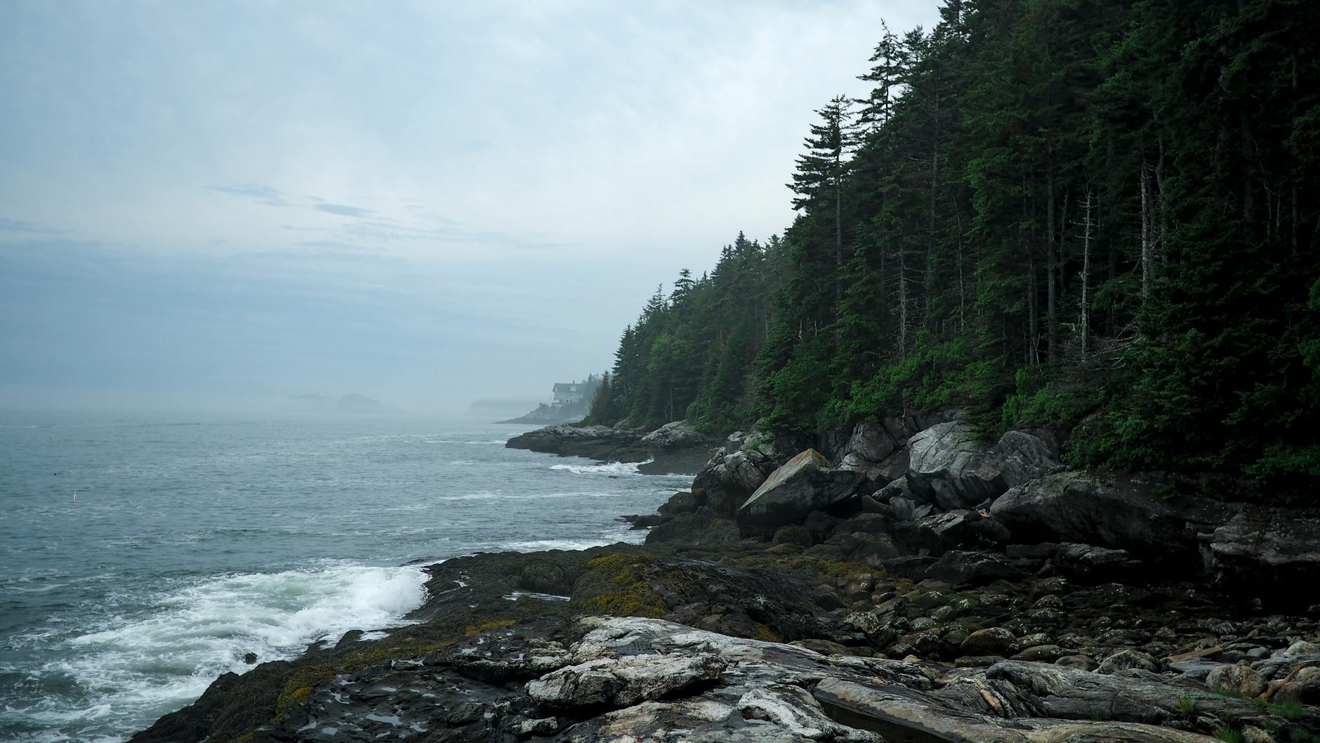 Rainy Day Reflections from Downeast Maine