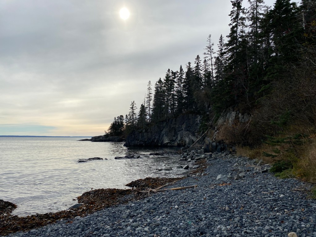 hamilton cove, lubec 